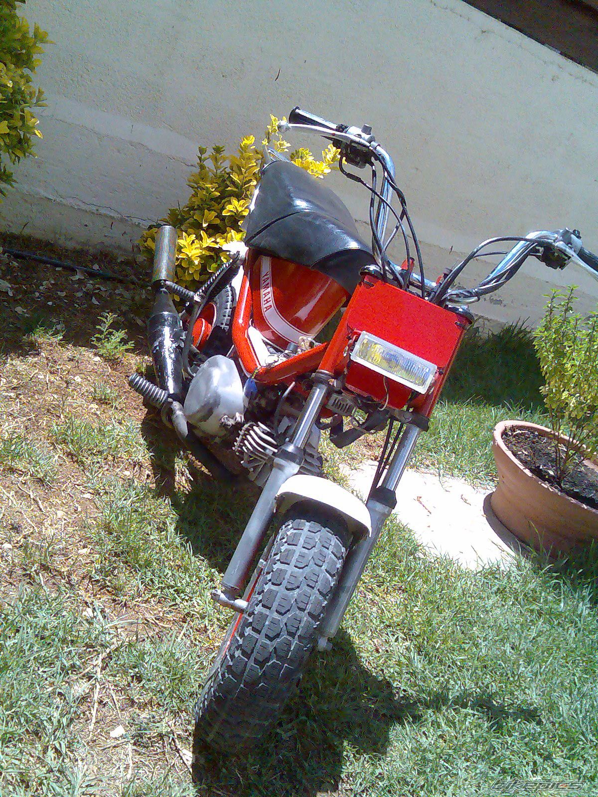 Photo 1303443