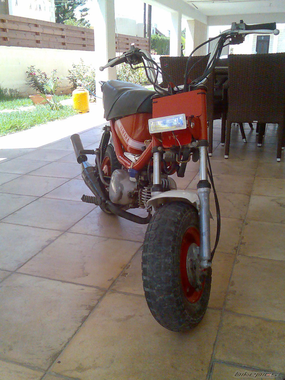 Photo 1303445