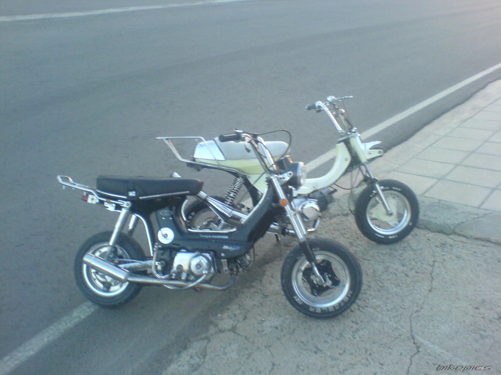 Photo 1303446