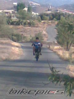 Photo 1303459
