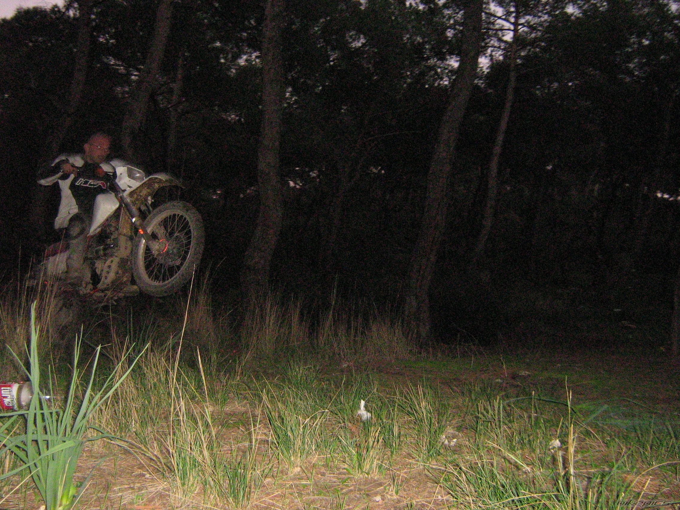 Photo 1303461