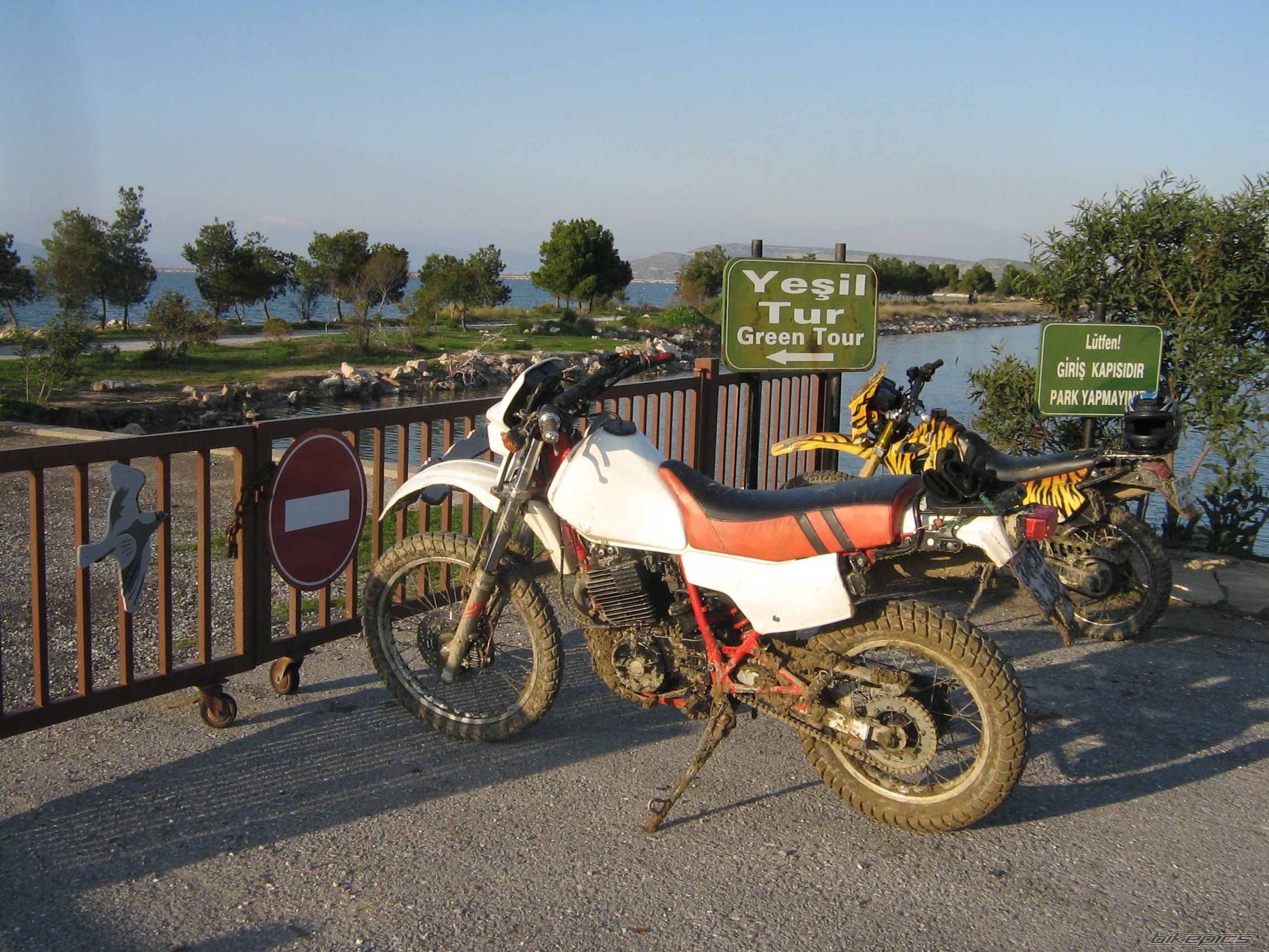 Photo 1303463