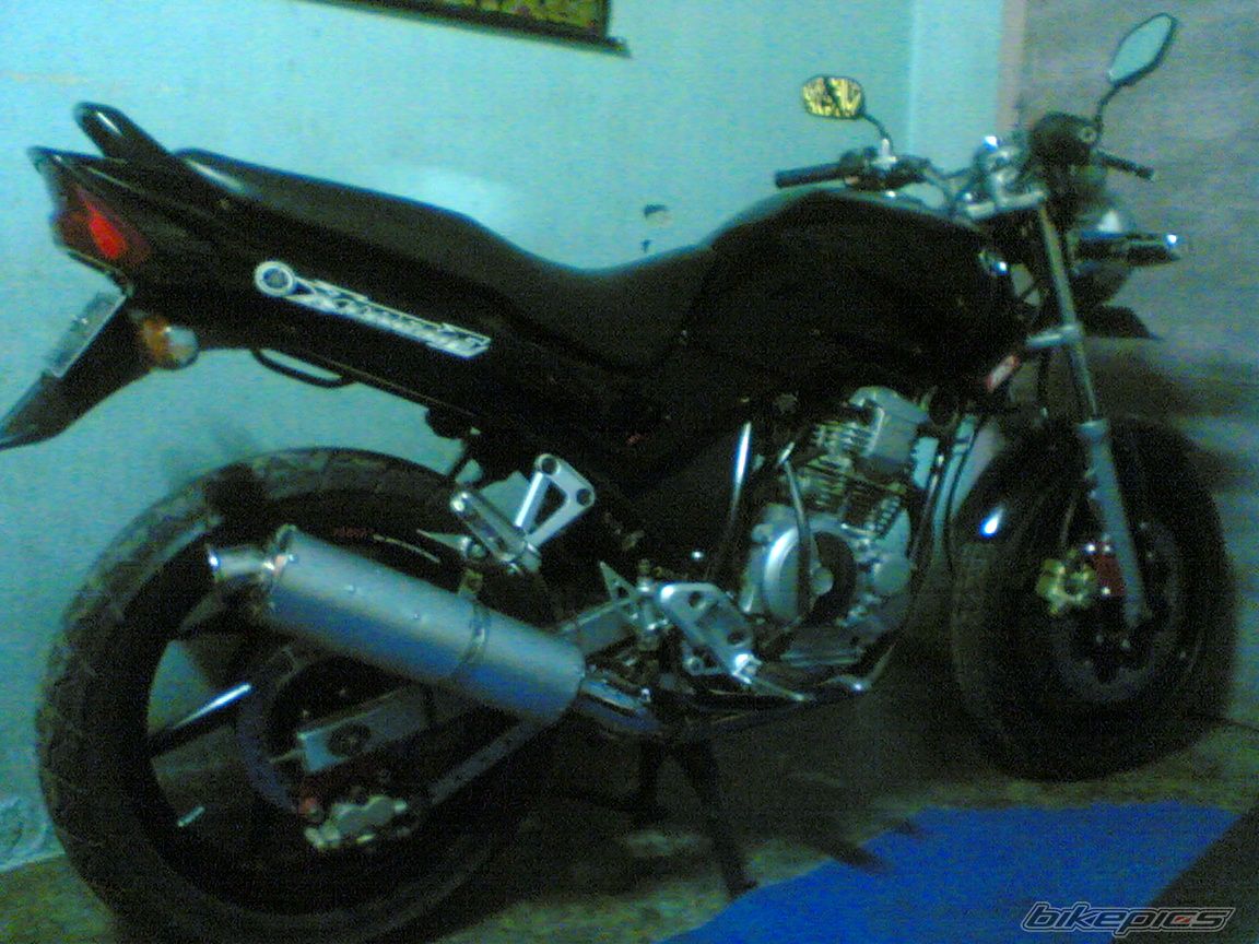 Photo 1303465