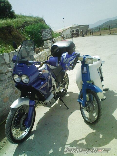 Photo 1303469