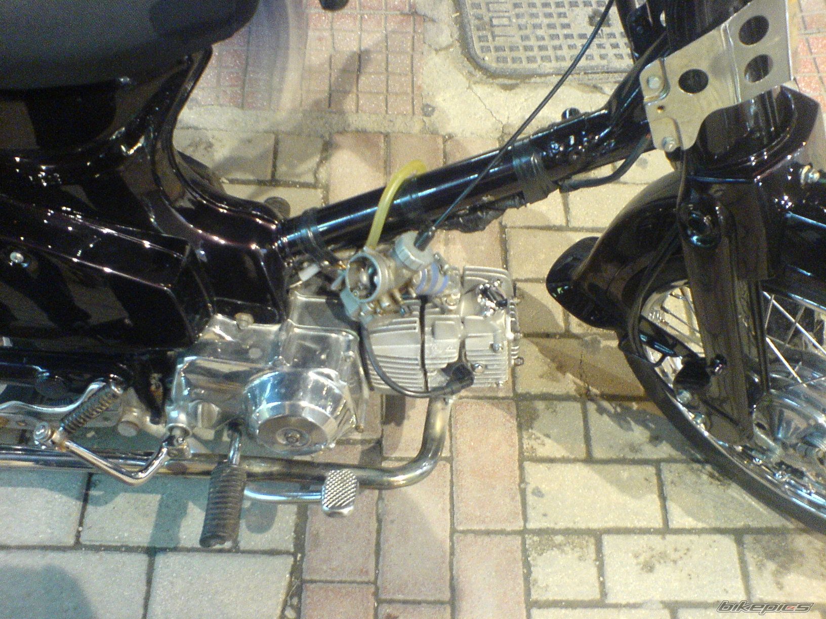 Photo 1303472
