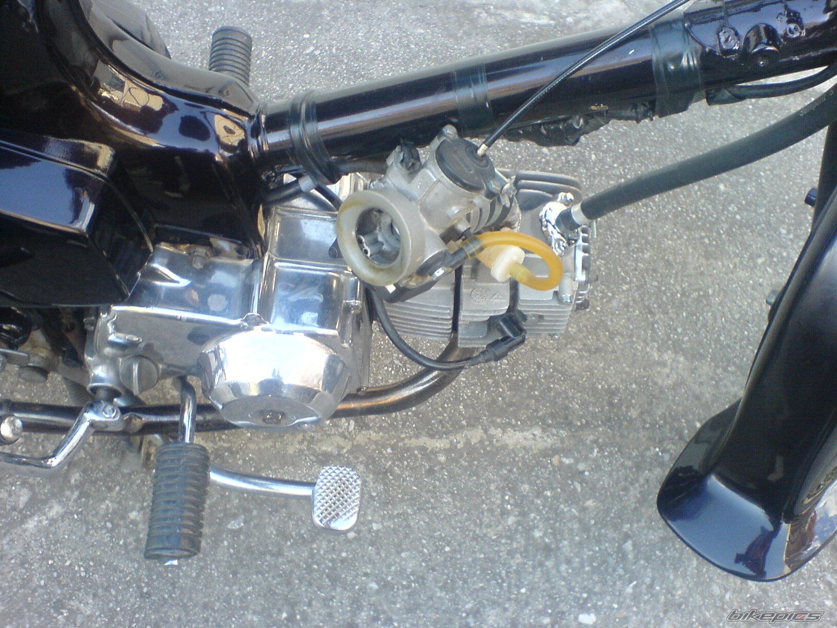 Photo 1303474