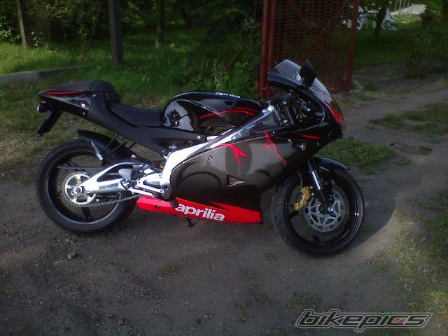 Photo 1303497