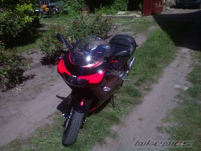 Photo 1303499