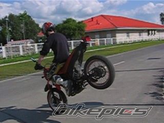 Photo 1303511