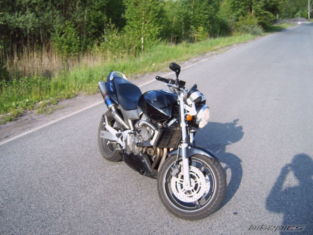 Photo 1303532