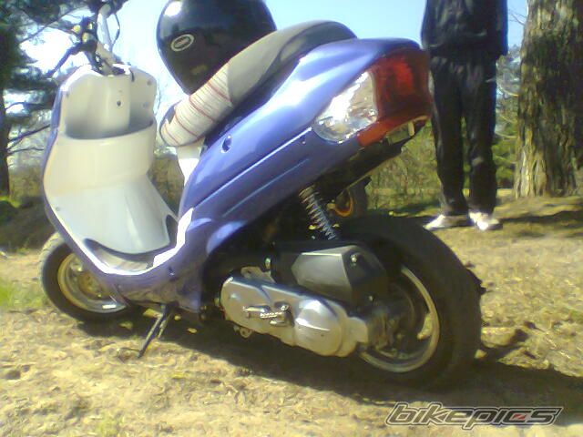 Photo 1303563