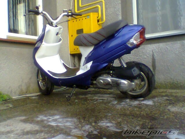 Photo 1303565