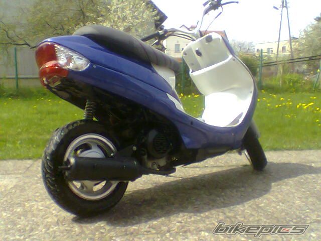 Photo 1303566
