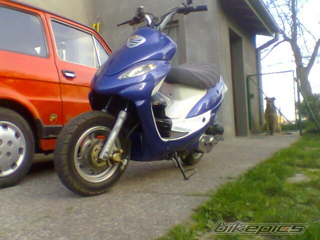 Photo 1303567