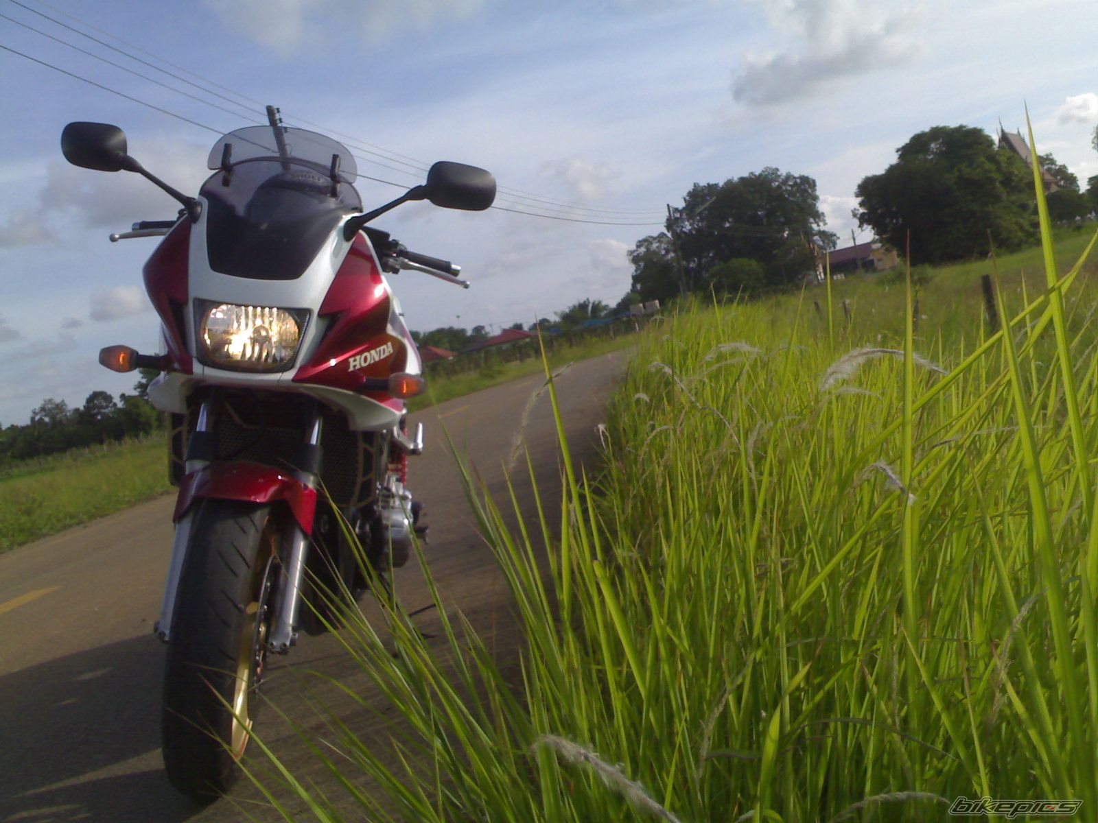Bike Photo 1303571