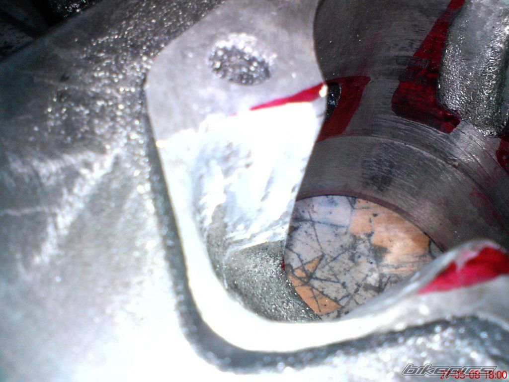 Photo 1303572