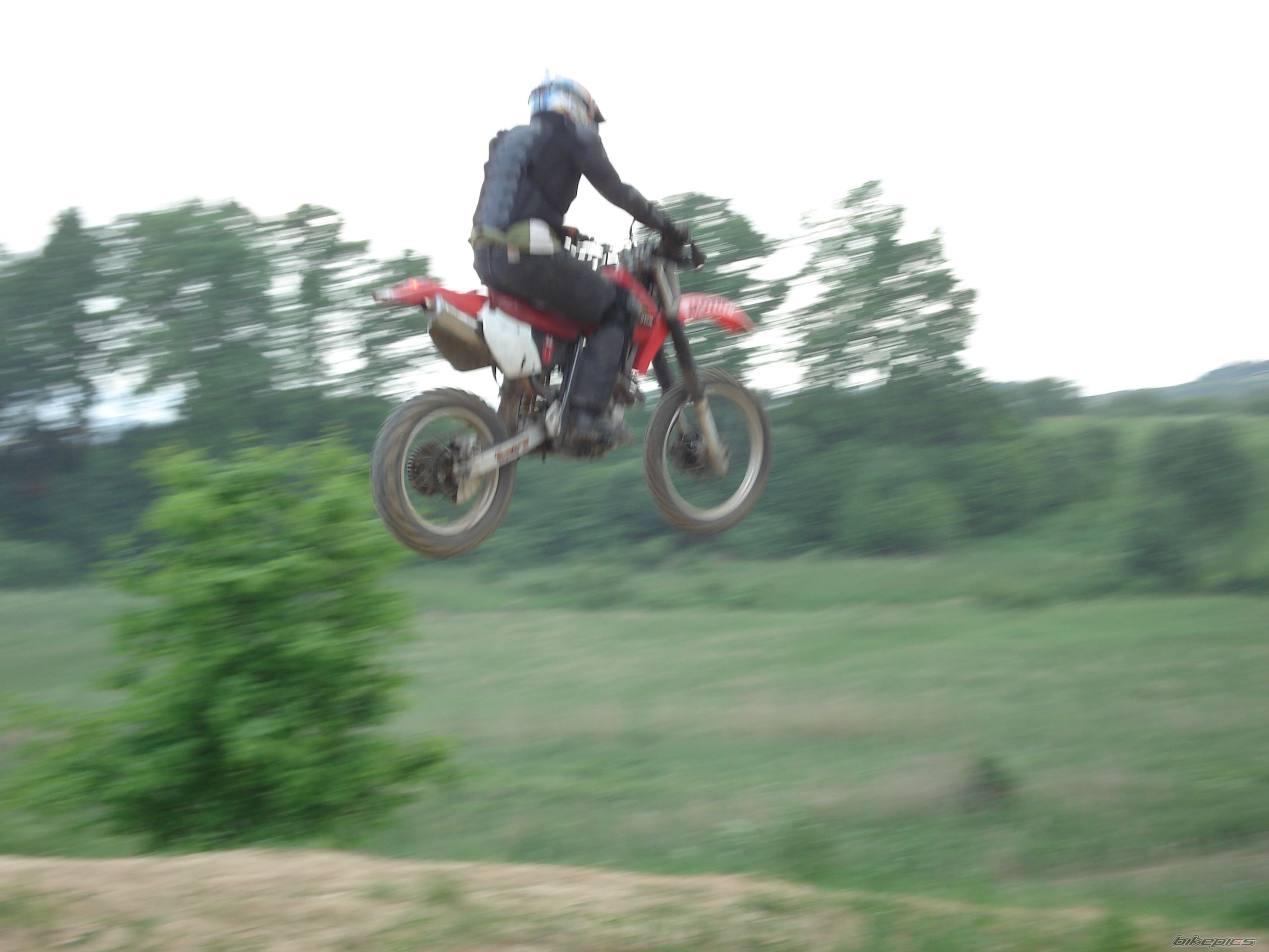 Photo 1303624