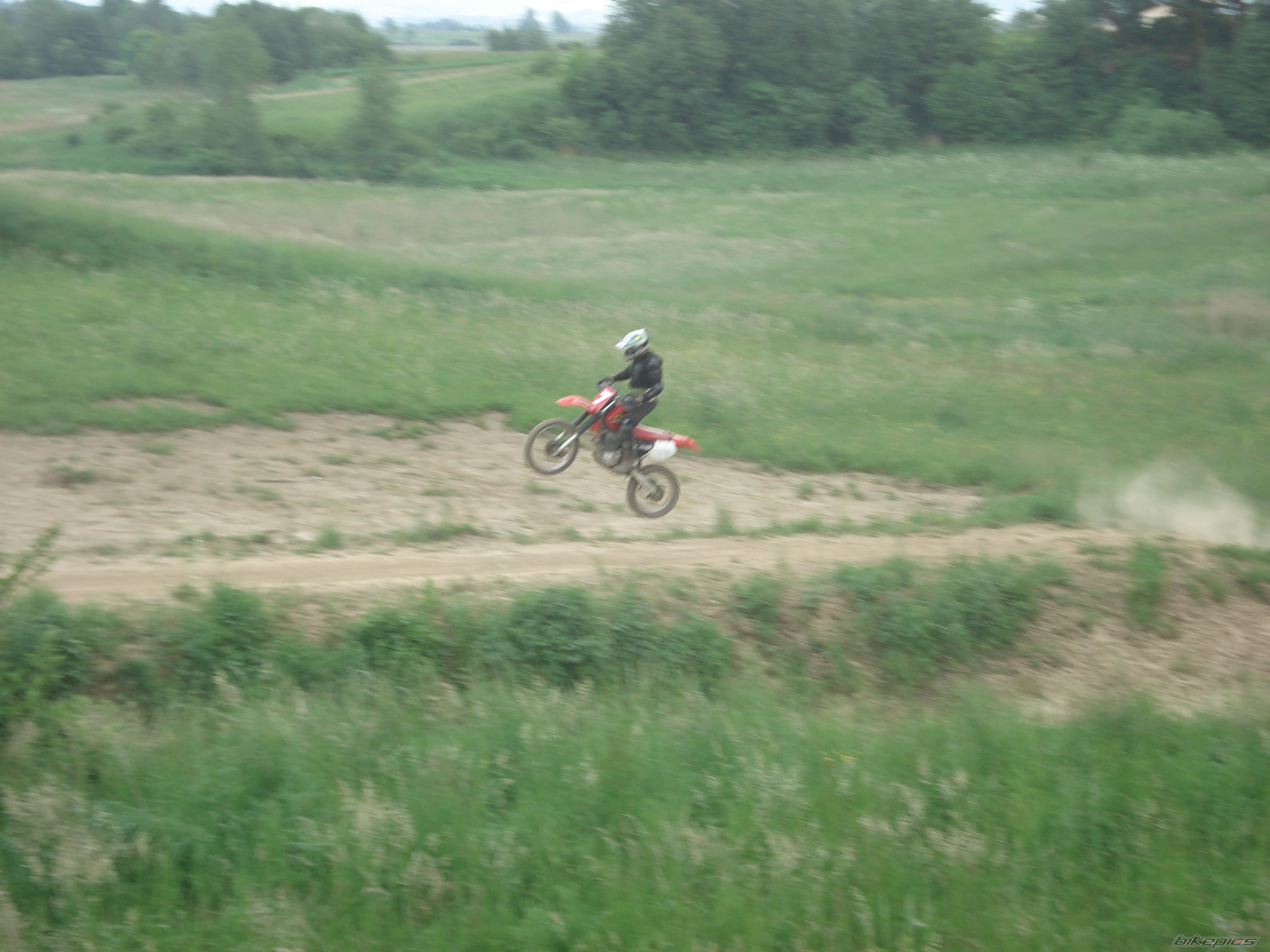 Photo 1303628