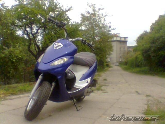 Photo 1303629