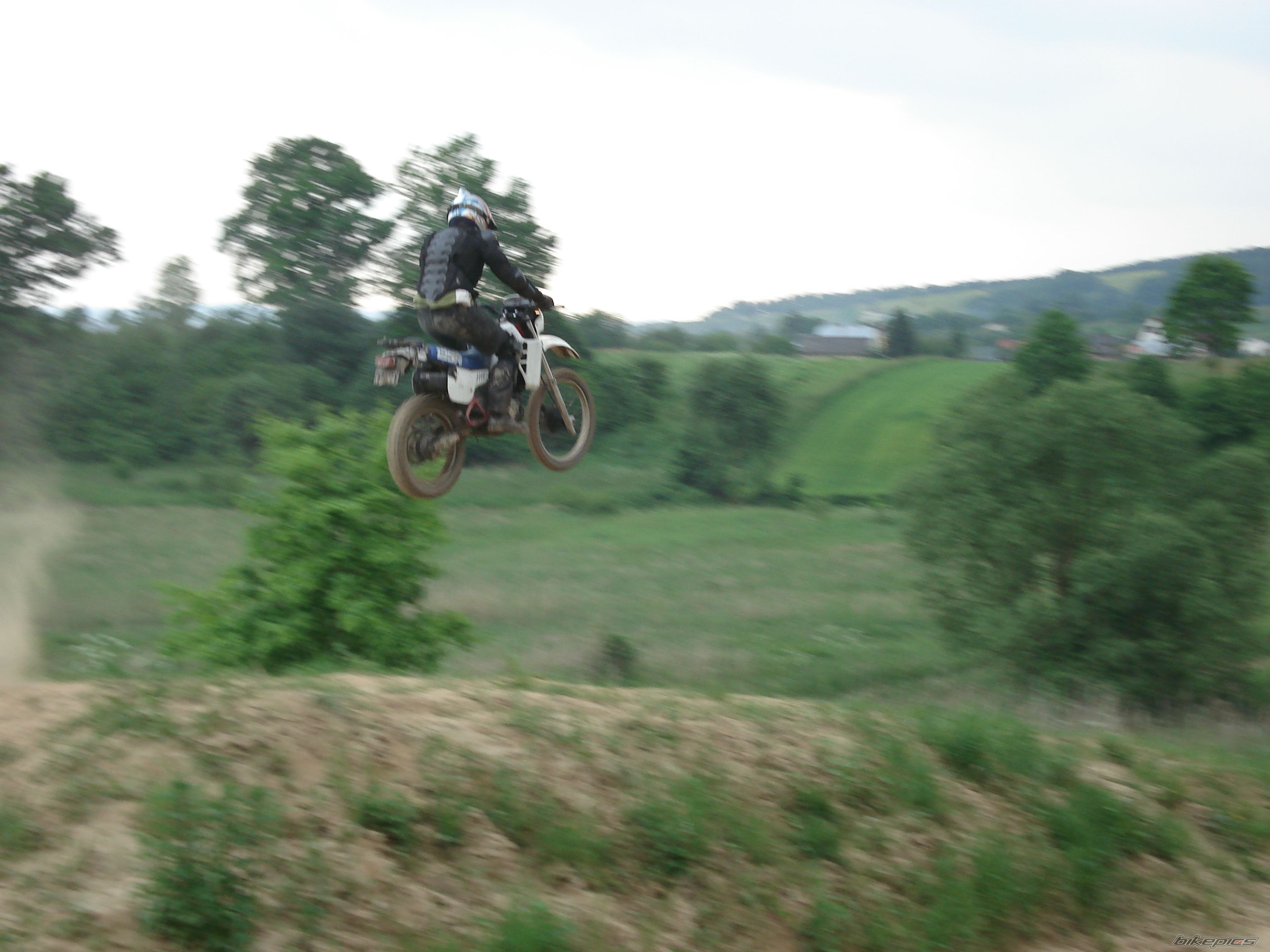 Photo 1303638