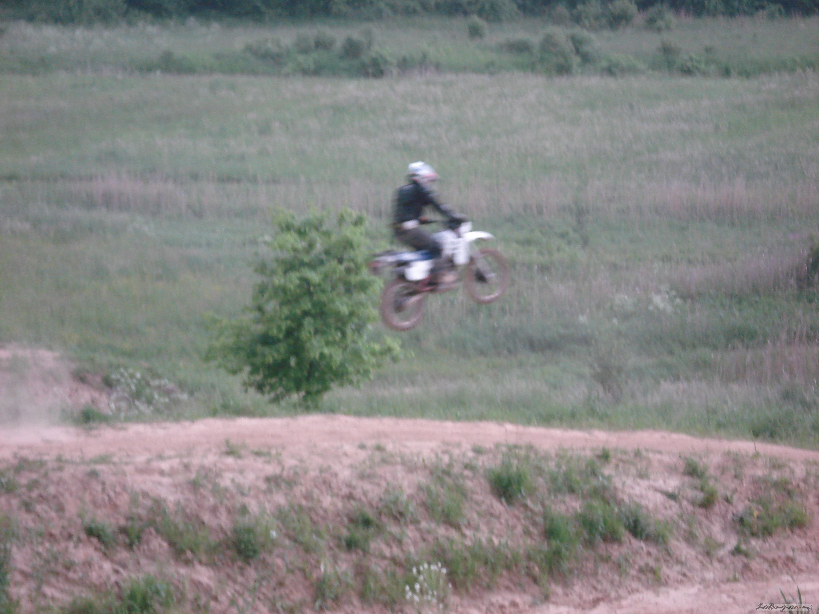 Photo 1303648