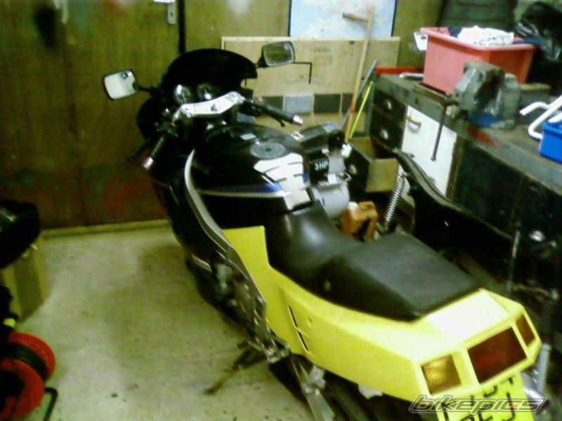 Photo 1303649