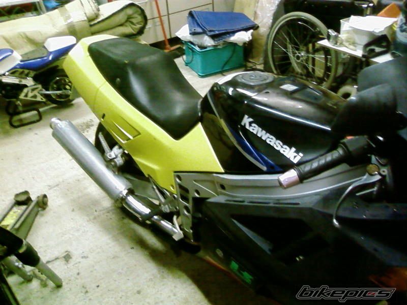 Photo 1303651