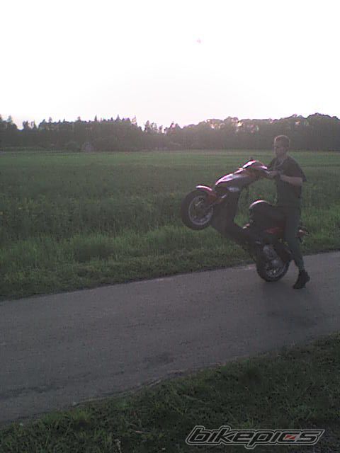 Photo 1303659