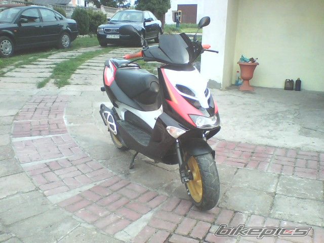 Photo 1303661