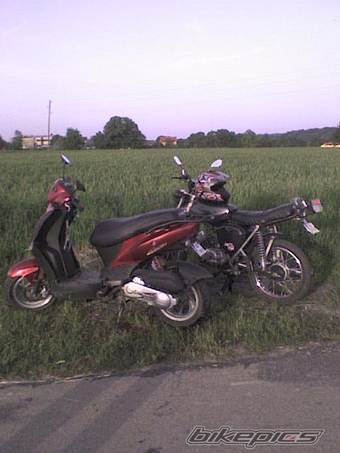 Photo 1303666