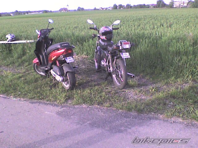 Photo 1303668