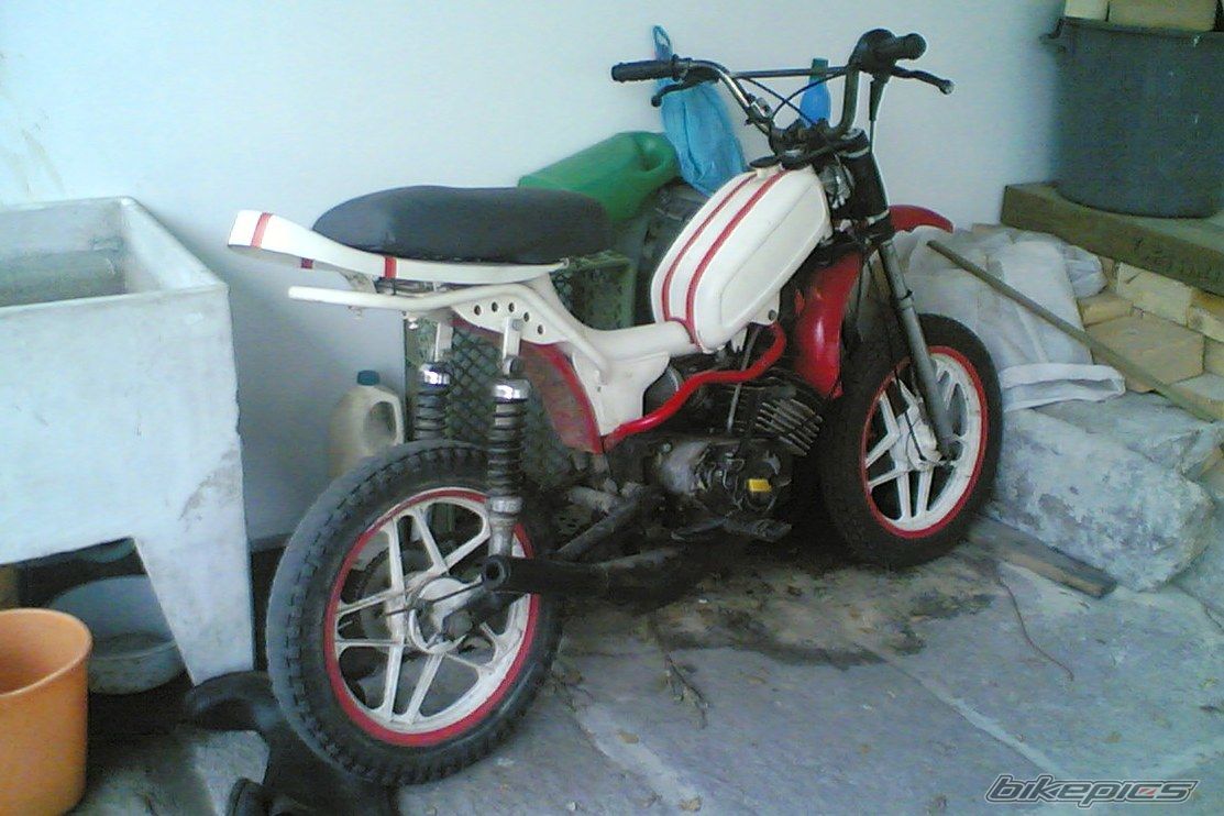 Photo 1303738