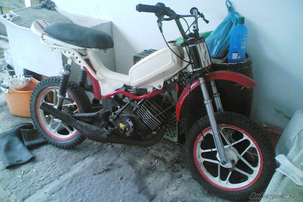 Photo 1303740