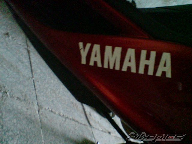 Photo 1303770