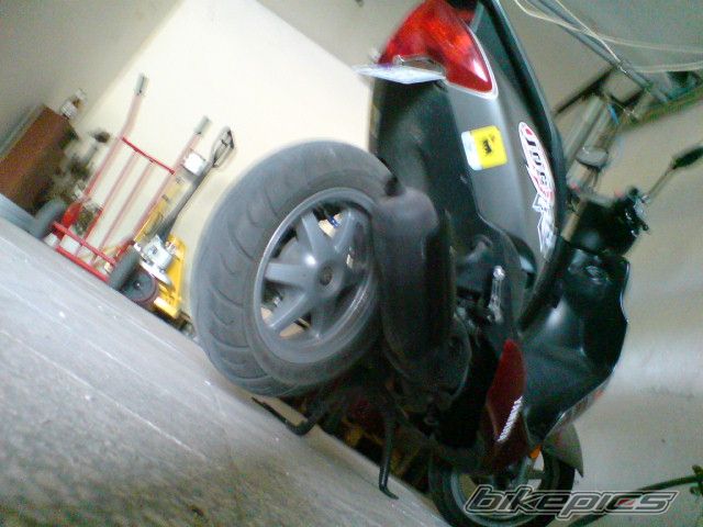 Photo 1303773