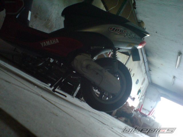 Photo 1303774