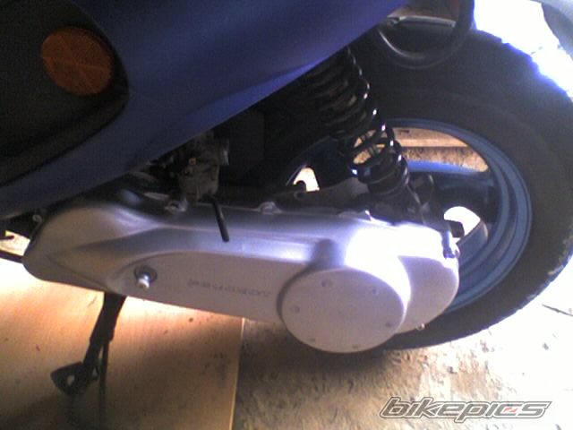 Photo 1303785