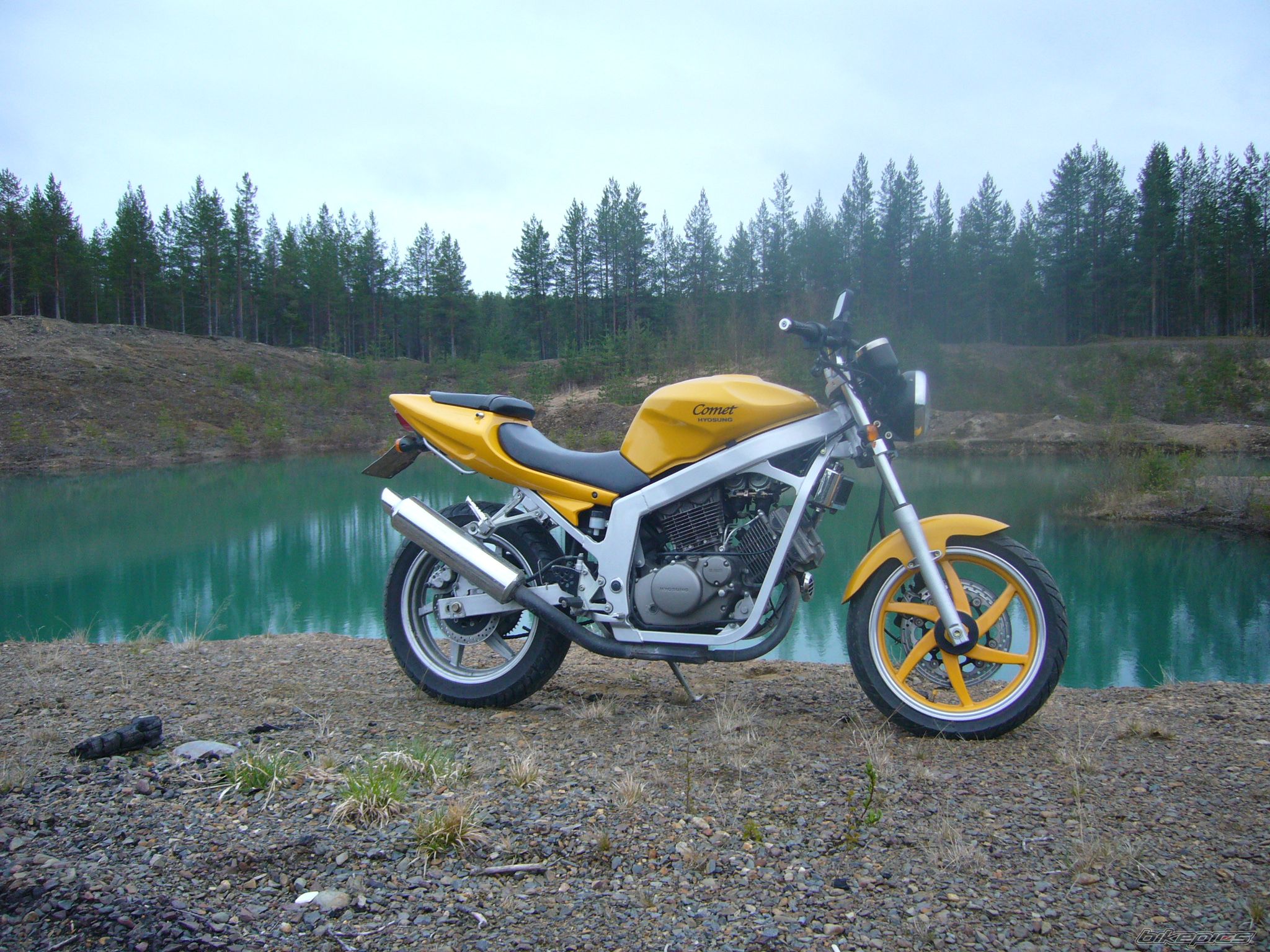 Photo 1303787