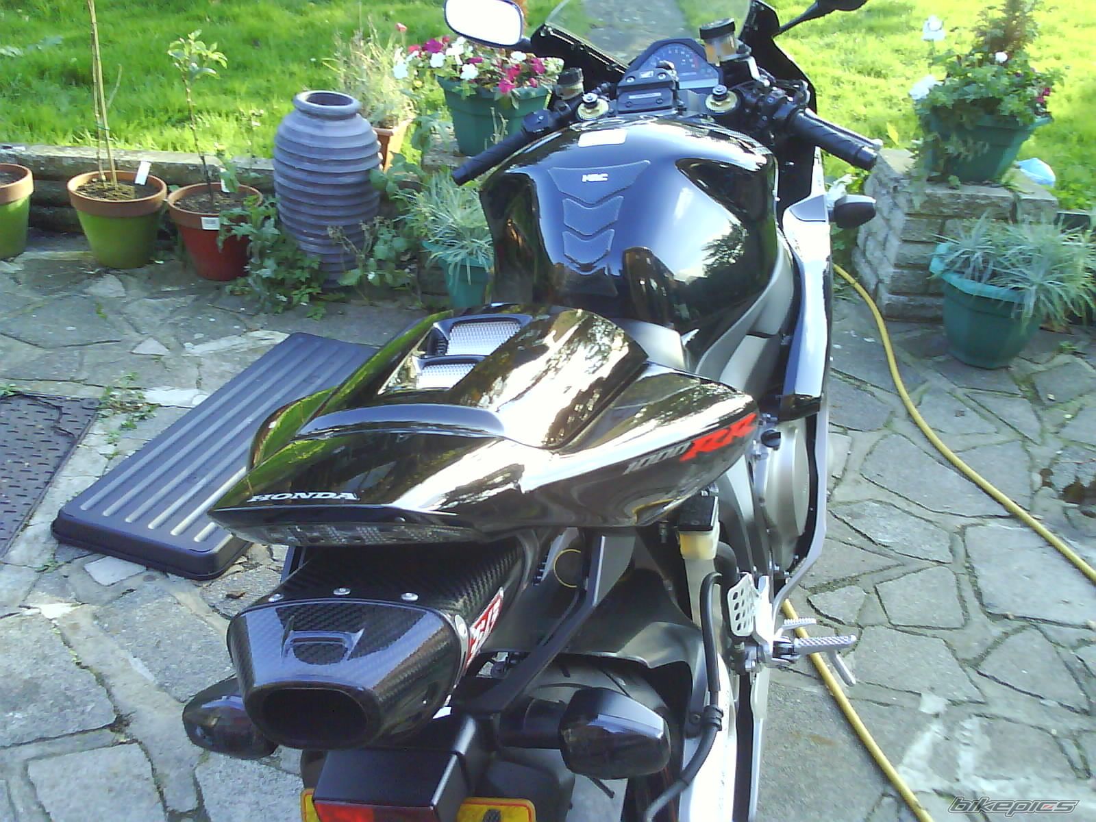 Photo 1303798