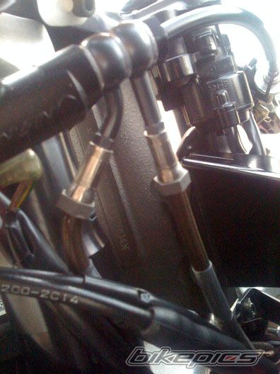 Photo 1303802