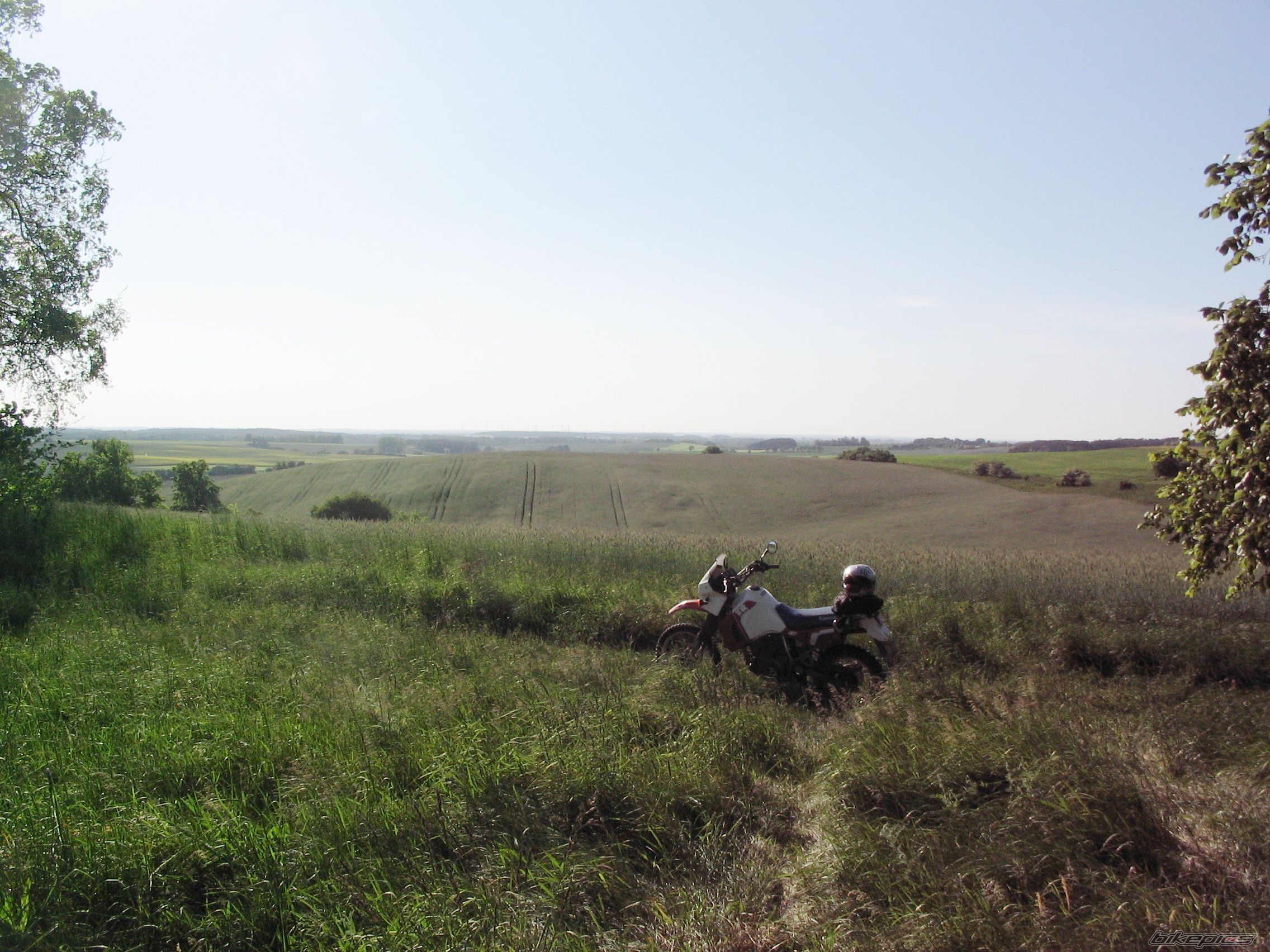 Bike Photo 1303843