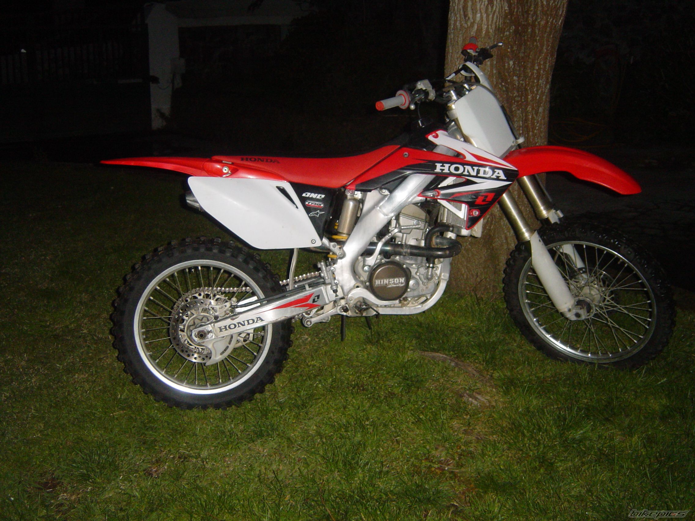 Photo 1303849