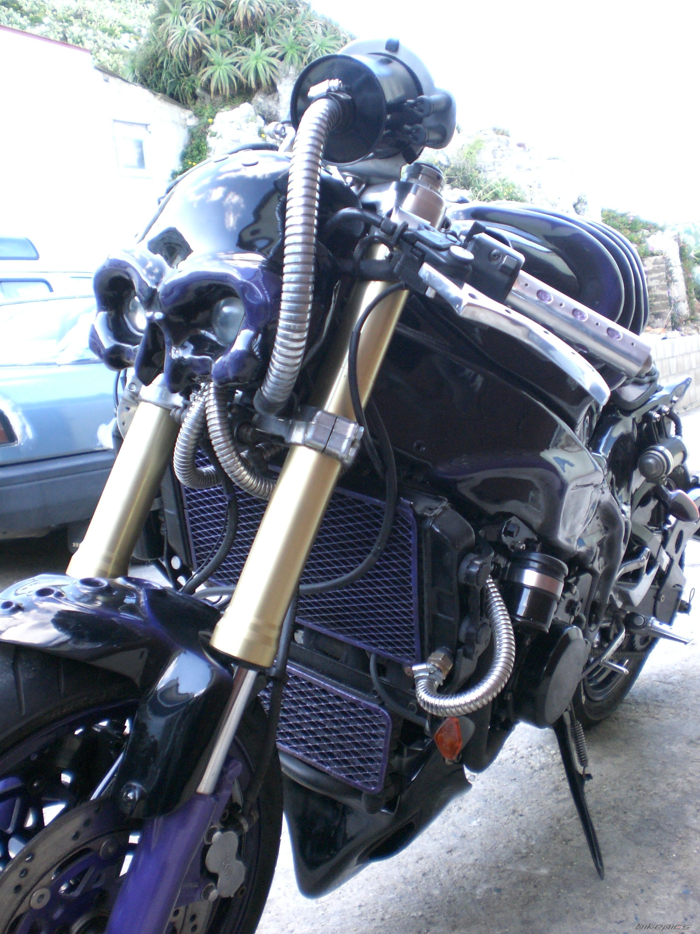 Photo 1303872