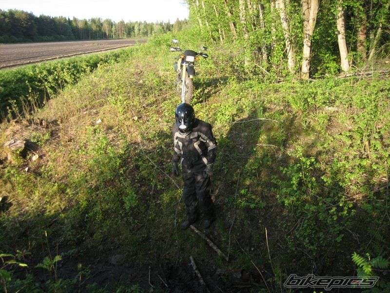 Photo 1303879