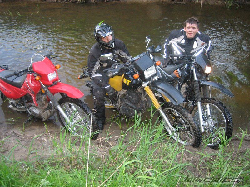 Photo 1303887