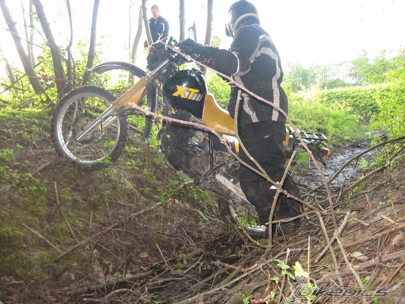 Photo 1303895
