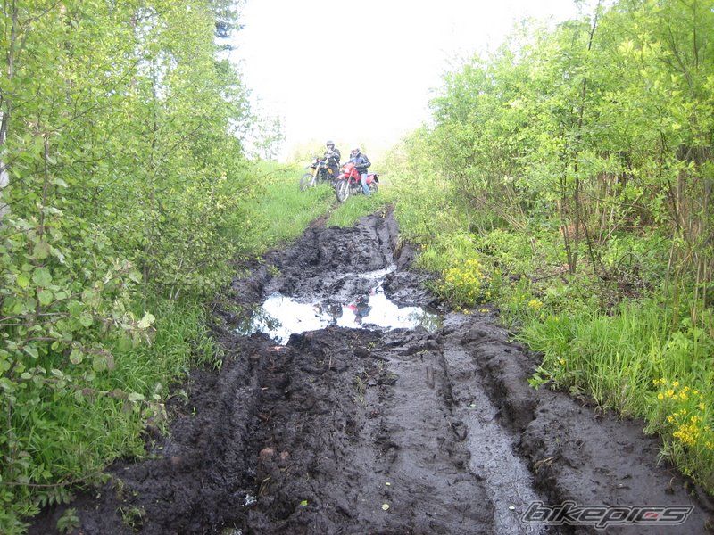 Bike Photo 1303901