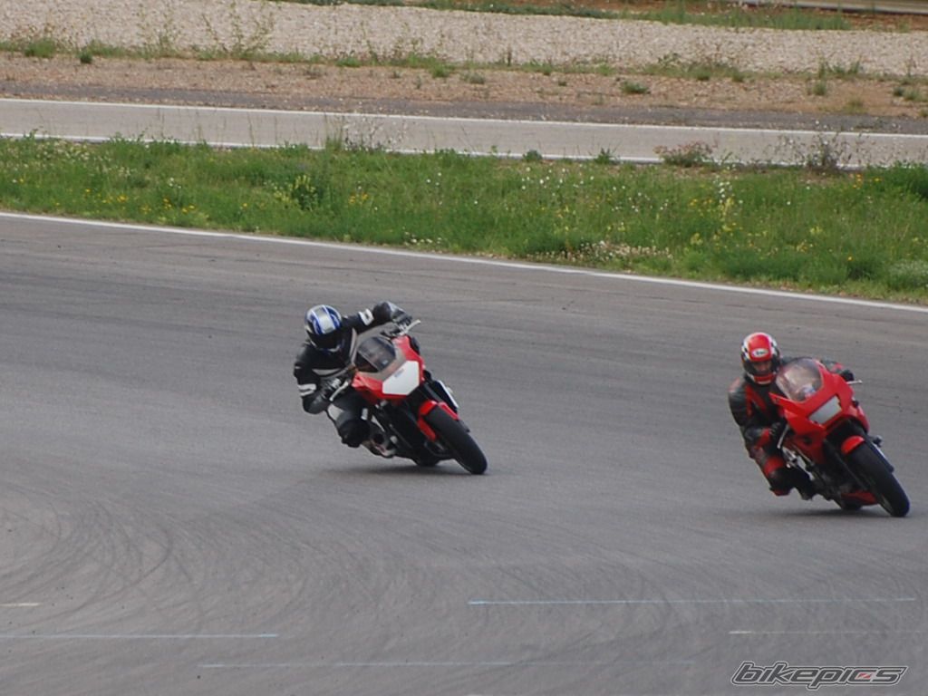 Photo 1303902