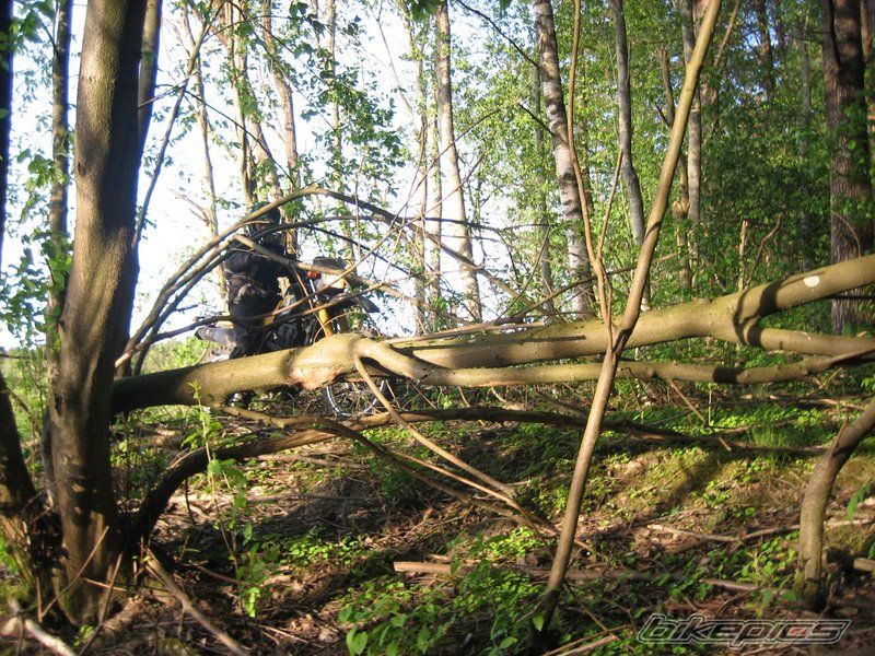 Bike Photo 1303920