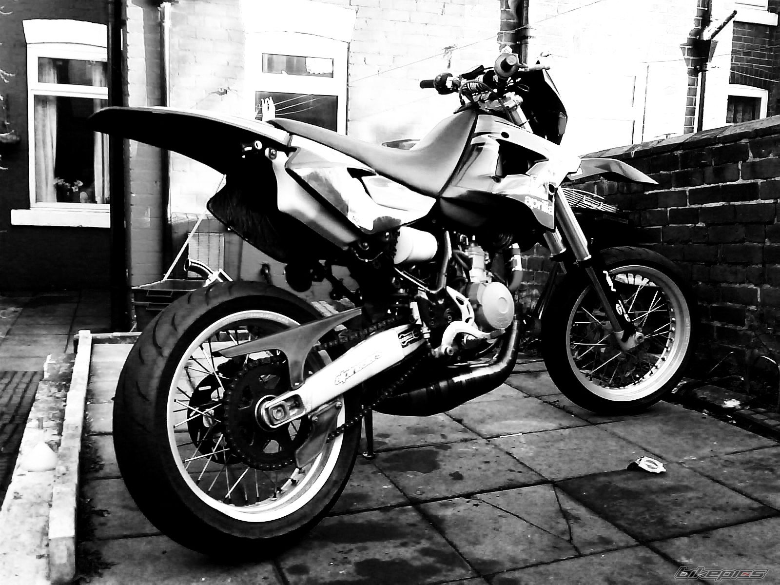 Photo 1303964